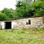 DSCN4539