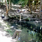 DSCN8355