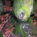 DSCN0763