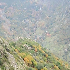 61-IMG_3931