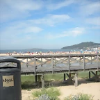 DSCN7547