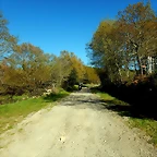 DSCN9039