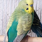 20180809_115440