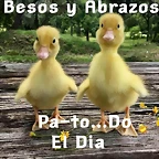 IMG-20190303-WA0042