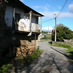 DSCN6393