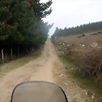 DSCN8151