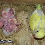 FB_IMG_1574040075815