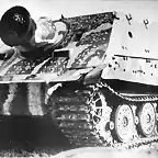 Sturmtiger