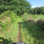 43-IMG_1421