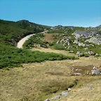32-IMG_3537