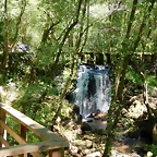 DSCN2259