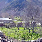 DSCN8750