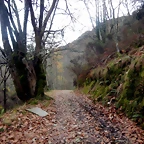 DSCN2081