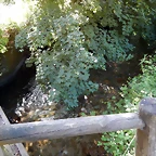 DSCN9272