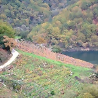 23-IMG_3874
