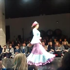 Pasarela 12-2-2015 (14)