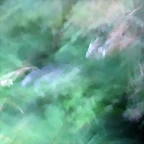 P1010215