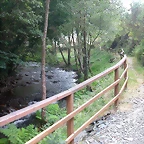 DSCN3281