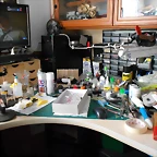 DSCN5460