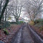 DSCN7242