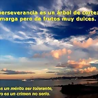 Diapositiva4