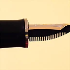 seccion_Pelikan M805
