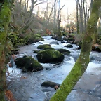 DSCN2092
