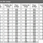 Indices de Carga