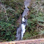 DSCN0897