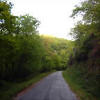 DSCN2142