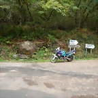 DSCN8517