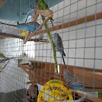 IMG_20180302_120032