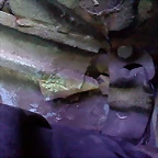 P260114_12.51_[01]