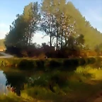 DSCN9468'3