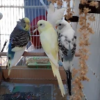 20191230_141041