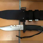 shark2
