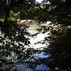 DSCN6355