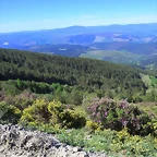 019-Imagen 021