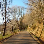 DSCN2896