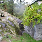 DSCN5741