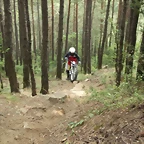 resized_Trial 2DT 028