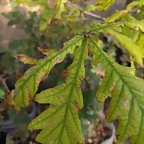 IMG_20250602_192513