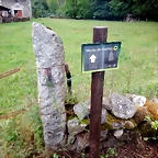 DSCN4599