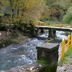 DSCN6038