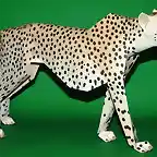 Cheetah (Papercraft) By Pendragon