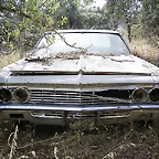 Impala abandonado