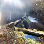 DSCN9120