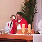 Misa de Domingo de Ramos da inicio de la Semana Santa (18)