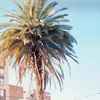 Cartagena