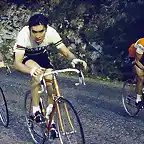 MERCKX1972,OCAA